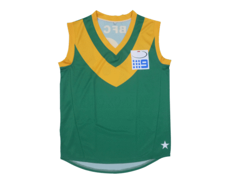Emerald and Silver afl jersey with clean panel styling