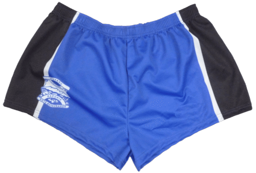 Royal Blue and Sky Blue Rugby Shorts with Clean Panel and Classic Styling 9 Royal Blue and Sky Blue rugby shorts with clean panel styling