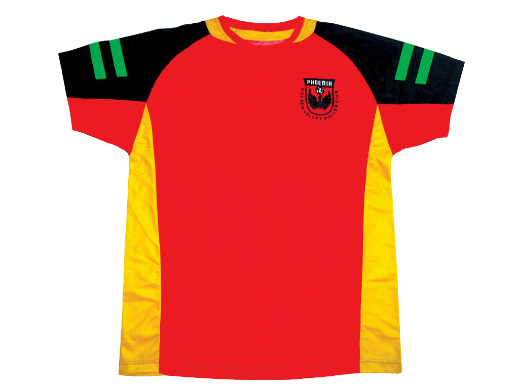 Black and Red Soccer Jersey with Clean Panel and Tournament Styling 6 Custom Panel Soccer Jersey product view