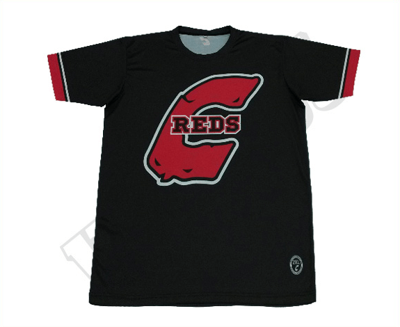 Sky Blue and Charcoal Youth Team T-Shirt with Contrast Panel and Classic Styling 6 Custom Abstract Team T-Shirt product view