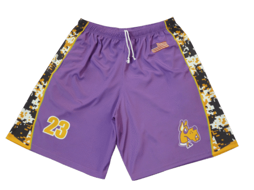 Purple and Slate lacrosse shorts with clean panel styling